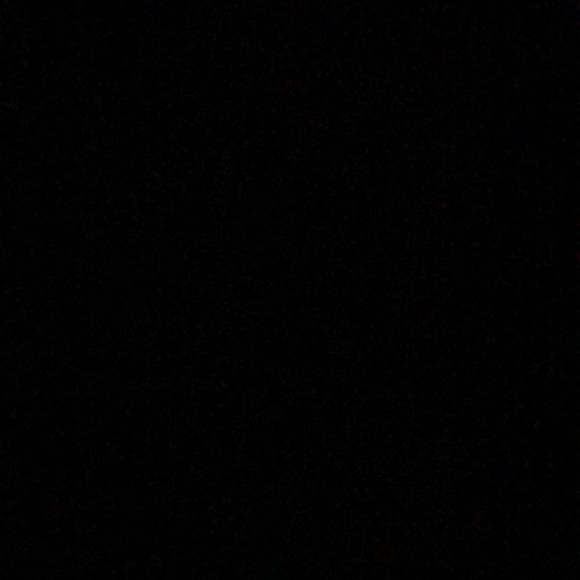 Meet your Posher, Lolo - Picture 1 of 1